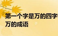 第一个字是万的四字词语有哪些? 第一个字是万的成语 