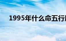 1995年什么命五行属性 1995年什么命 