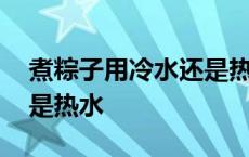 煮粽子用冷水还是热水蚂蚁 煮粽子用冷水还是热水 