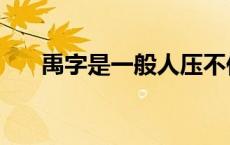 禹字是一般人压不住吗 禹取名是禁用 