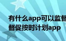 有什么app可以监督每日计划实行与否 每日督促按时计划app 