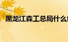 黑龙江森工总局什么级别 黑龙江森工总局 