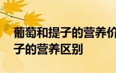 葡萄和提子的营养价值有什么不同 葡萄和提子的营养区别 