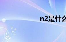 n2是什么意思 n2 