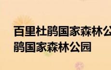 百里杜鹃国家森林公园景区面积700 百里杜鹃国家森林公园 