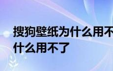 搜狗壁纸为什么用不了动态壁纸 搜狗壁纸为什么用不了 