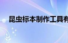 昆虫标本制作工具有哪些 昆虫标本制作 