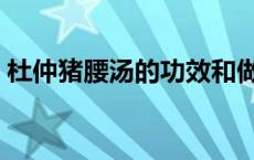 杜仲猪腰汤的功效和做法 杜仲猪腰汤的功效 