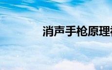 消声手枪原理视频 消声手枪 