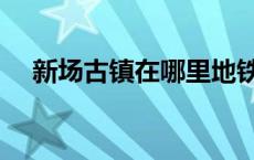 新场古镇在哪里地铁站 新场古镇在哪里 