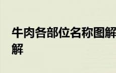 牛肉各部位名称图解 吊龙 牛肉各部位名称图解 