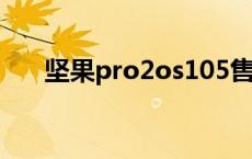 坚果pro2os105售价 坚果pro多少钱 