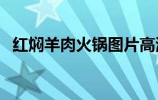 红焖羊肉火锅图片高清大图 红焖羊肉火锅 