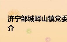 济宁邹城峄山镇党委书记张广州简介 广州简介 