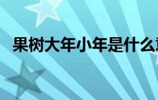 果树大年小年是什么意思 小年是什么意思 