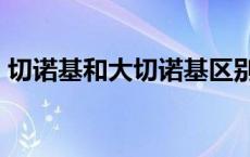 切诺基和大切诺基区别 大切诺基srt8怎么样 