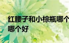 红腰子和小棕瓶哪个好干皮 红腰子和小棕瓶哪个好 