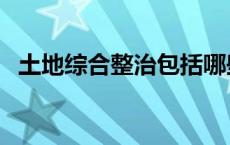 土地综合整治包括哪些内容 土地综合整治 