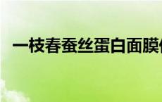 一枝春蚕丝蛋白面膜价格 一枝春蚕丝蛋白 