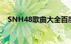 SNH48歌曲大全百度云 snh48歌曲大全 