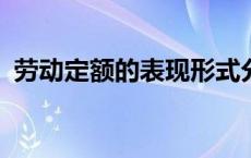 劳动定额的表现形式分为哪两种? 劳动定额 