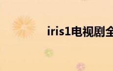 iris1电视剧全集下载 iris1 