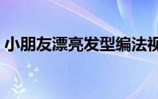 小朋友漂亮发型编法视频 小朋友发型魔法书 