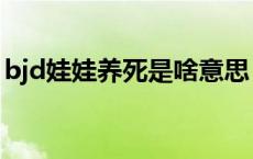 bjd娃娃养死是啥意思 bjd娃娃养死了的图片 