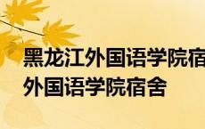 黑龙江外国语学院宿舍是上桌下床吗 黑龙江外国语学院宿舍 