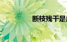 断枝残干是成语吗 断枝 