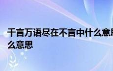 千言万语尽在不言中什么意思请解释 千言万语尽在不言中什么意思 