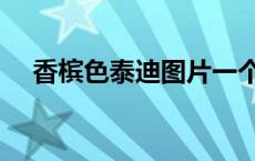 香槟色泰迪图片一个月 香槟色泰迪图片 