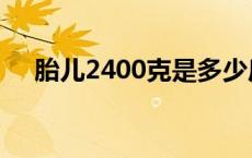 胎儿2400克是多少斤 2400克是多少斤 