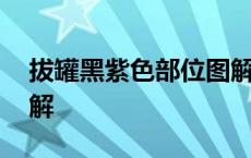 拔罐黑紫色部位图解男士 拔罐黑紫色部位图解 