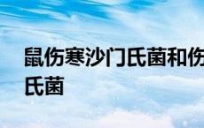 鼠伤寒沙门氏菌和伤寒沙门氏菌 鼠伤寒沙门氏菌 