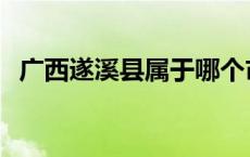 广西遂溪县属于哪个市 遂溪县属于哪个市 