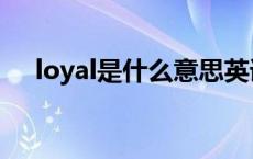 loyal是什么意思英语 loyalty什么意思 