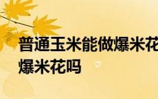 普通玉米能做爆米花吗没晒过 普通玉米能做爆米花吗 