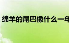 绵羊的尾巴像什么一年级 绵羊的尾巴像什么 