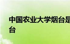 中国农业大学烟台是985吗 中国农业大学烟台 