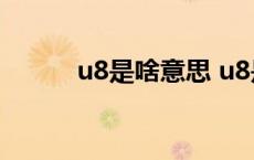 u8是啥意思 u8是什么意思属于 