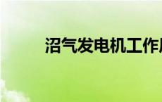 沼气发电机工作原理 沼气发电机 