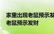 家里出现老鼠预示发财这是真的吗 家里出现老鼠预示发财 