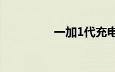 一加1代充电器 一加1代 