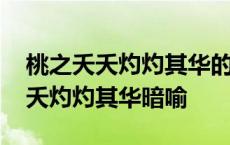 桃之夭夭灼灼其华的成语是什么意思 桃之夭夭灼灼其华暗喻 