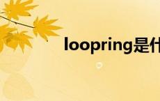 loopring是什么 loopring 