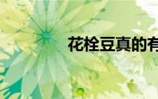 花栓豆真的有效吗 花栓豆 