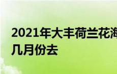 2021年大丰荷兰花海几月份去 大丰荷兰花海几月份去 