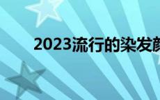 2023流行的染发颜色男 染发颜色男 