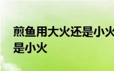 煎鱼用大火还是小火需要多久 煎鱼用大火还是小火 